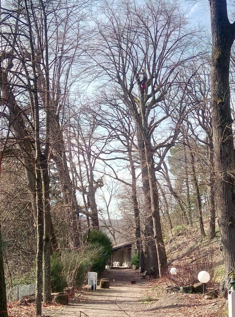 IMG_20230322_094052_2