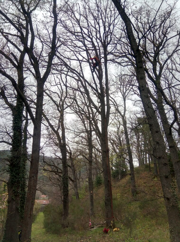 IMG_20230418_103405_6