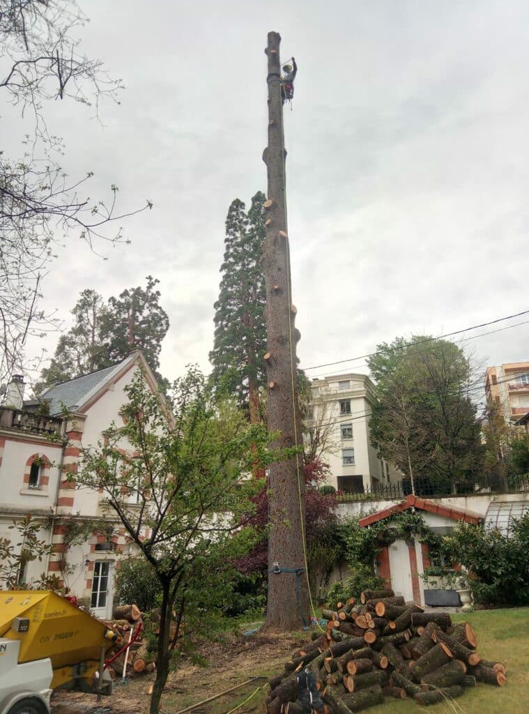 IMG_20220421_094900_3