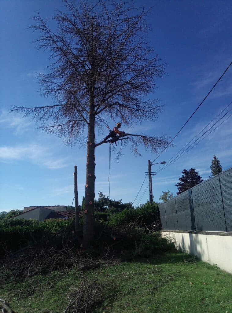 IMG_20220829_093010_1