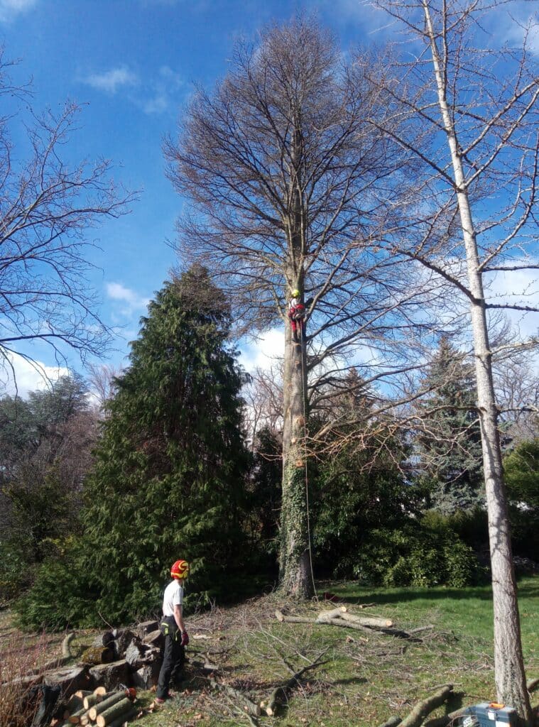 IMG_20230315_094953_5