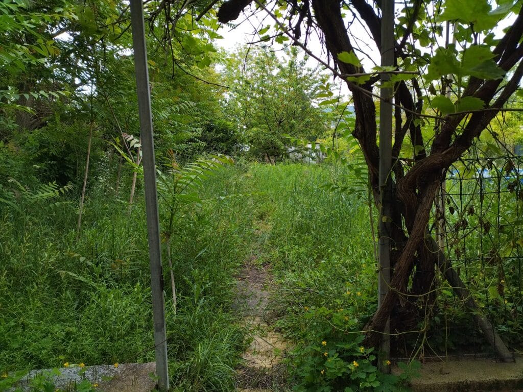 Entretien espace vert