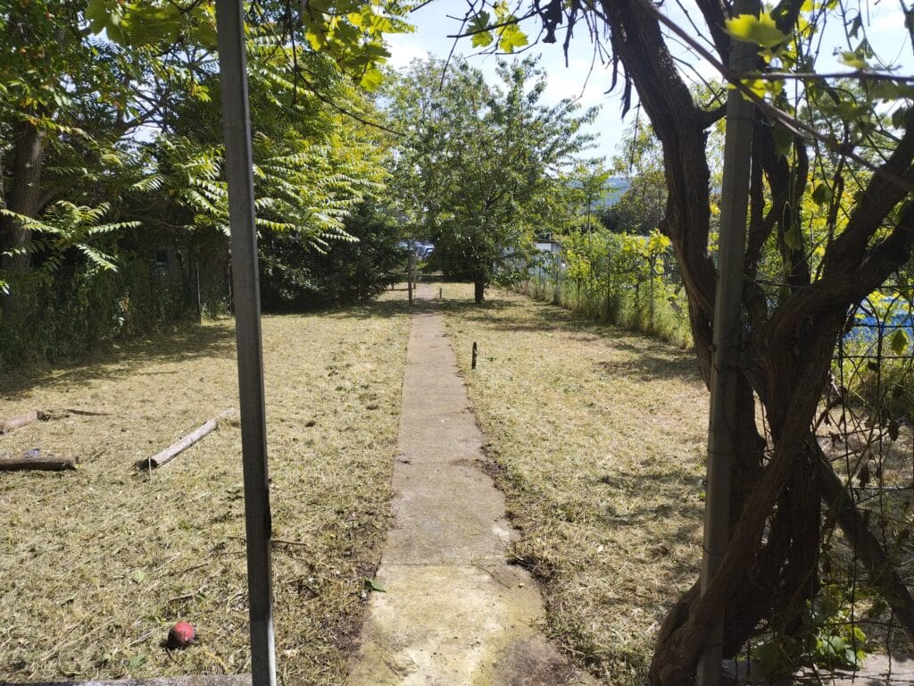 Entretien espace vert