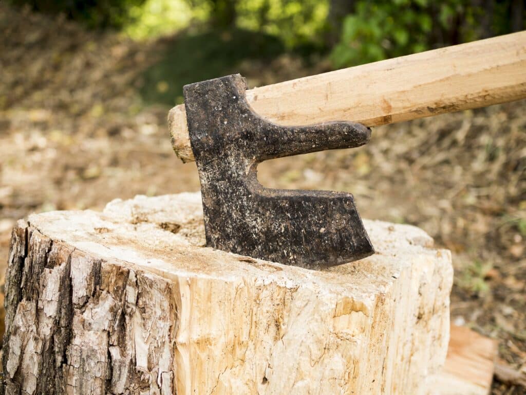 side-view-axe-wood
